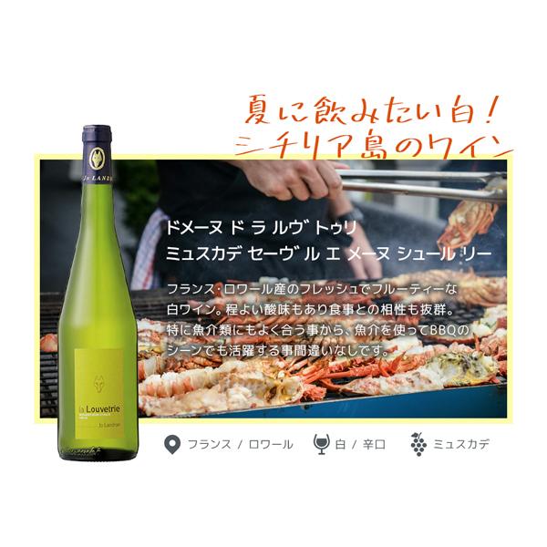 夏に飲みたい爽やかワイン6本セット （750ml×6本）[白ワイン