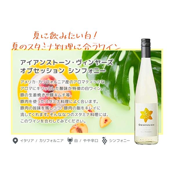 夏に飲みたい爽やかワイン6本セット （750ml×6本）[白ワイン