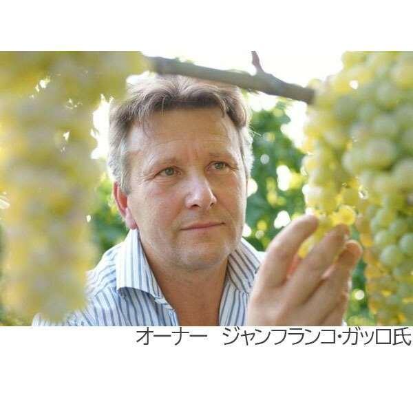 ヴェニ、ヴィディ、ヴィシ