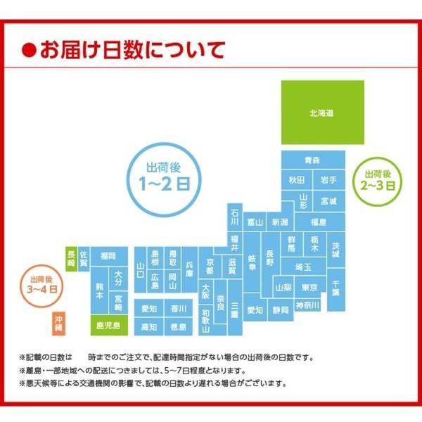 Minute Maid - ミニッツメイド 朝マンゴ 180g 合財袋 2入れもの（48本）仕かける