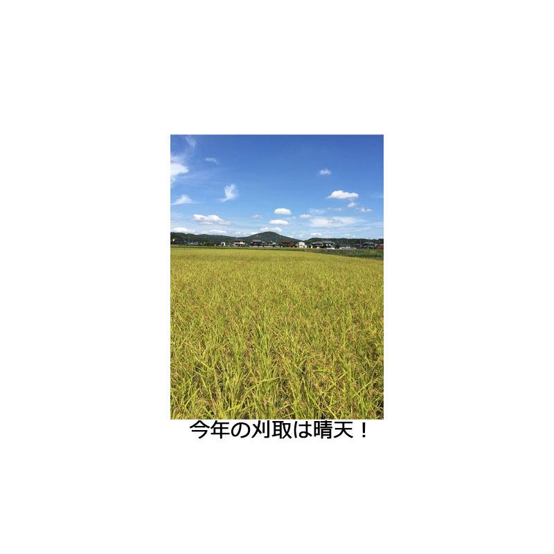 京都産ヒノヒカリ30kg 令和7年度産 国産玄米 ひのひかり : DON online