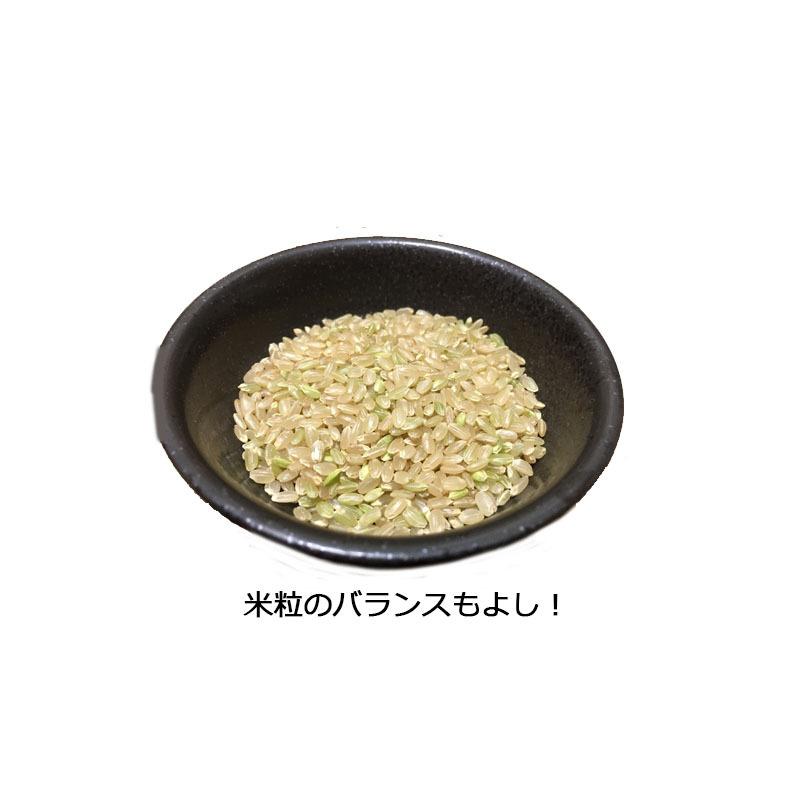 テル様【専用】 令和7年　京都産　ヒノヒカリ　玄米30キロ 令和7年産 》日本酒に合う ヒノヒカリ 玄米 30kg 精米歩合選択可[ 米