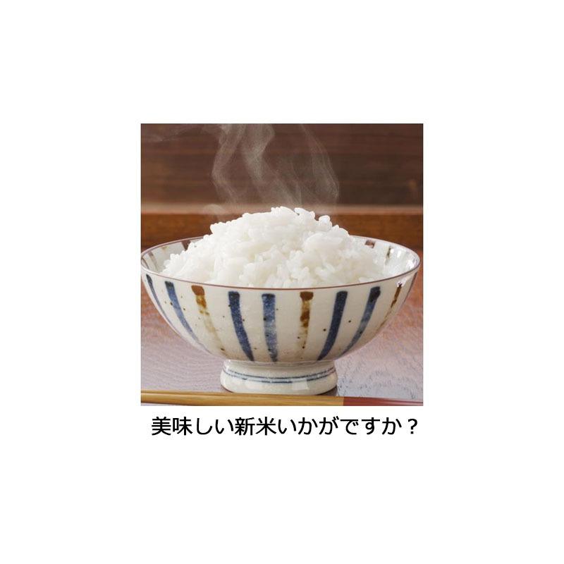 テル様【専用】 令和7年　京都産　ヒノヒカリ　玄米30キロ 京都産ヒノヒカリ30kg 令和7年度産 国産玄米 ひのひかり : DON online