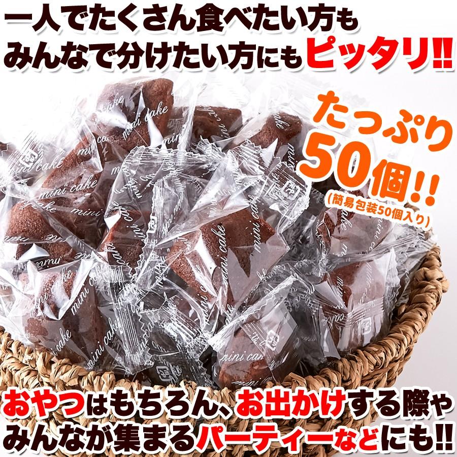 賞味期限間近（2026/8/5）特価販売】プチ チョコフィナンシェ 50個 お