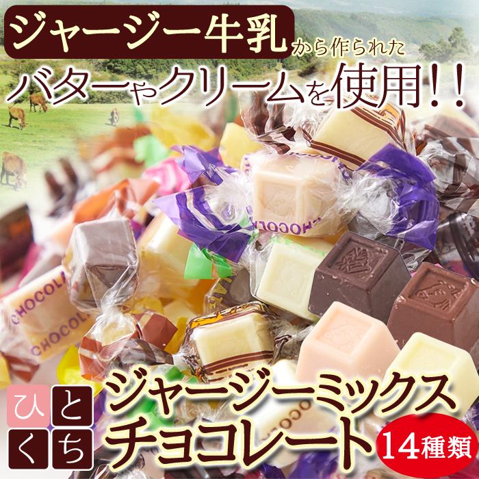 お徳用 ひとくち チョコレート 300g ジャージー牛乳 14種類 お徳用 ひとくち チョコレート 300g ジャージー牛乳 14種類