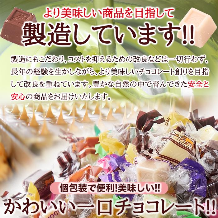 お徳用 ひとくち チョコレート 300g ジャージー牛乳 14種類 ミックス