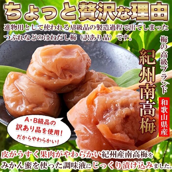 和歌山県産[紀州南高梅]10kg☆大粒多め‼️最高級品種‼️自然落下の完熟  