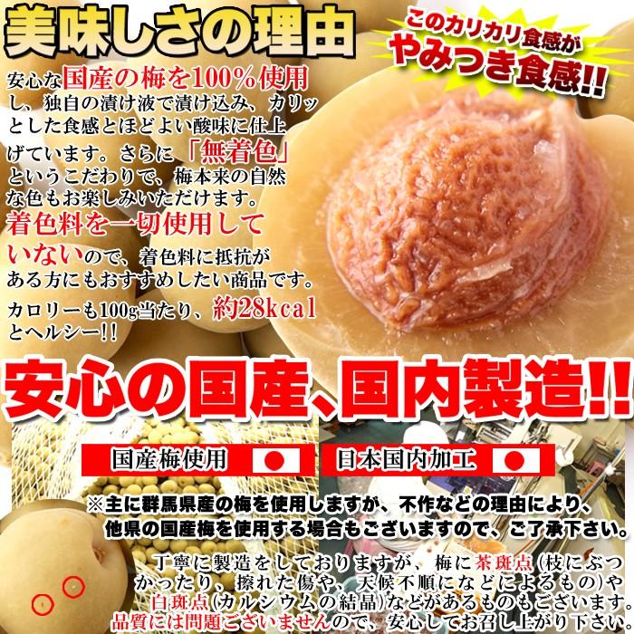 カリカリ梅 500g 業務用 お徳用 国産 無着色 個包装 大粒 大容量
