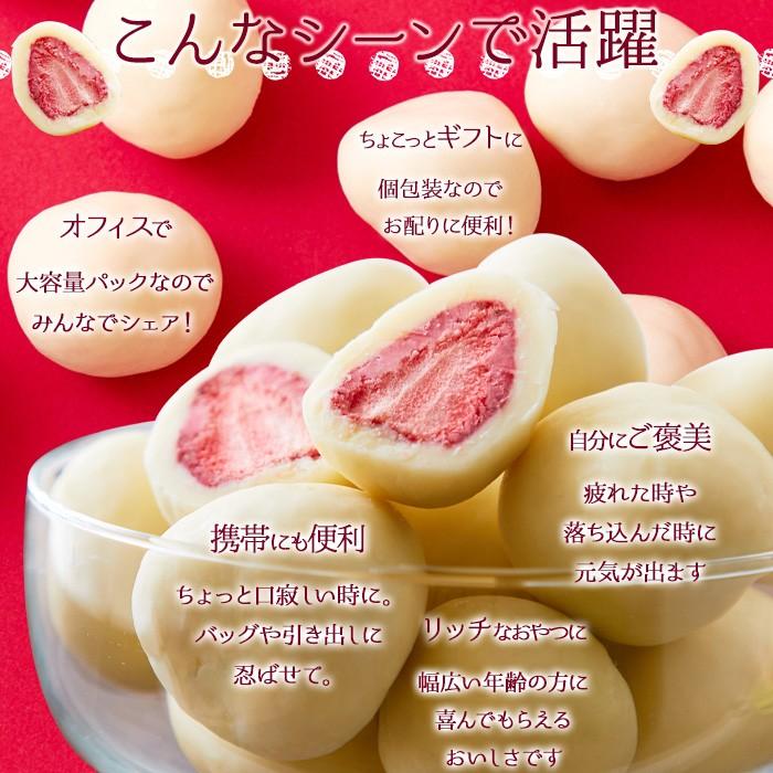 まるごといちごの ホワイトチョコ 250g 約25個 大人買い まるごといちごの ホワイトチョコ 250g 約25個 大人買い