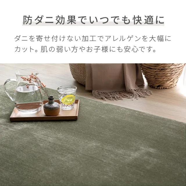 MODERN DECO（モダンデコ） ラグ 低反発 200×250 洗える 北欧 低反発
