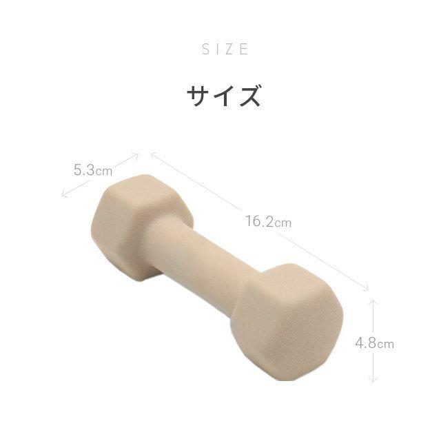 ダンベル 1kg 2個セットエクササイズ女子必見 おしゃれでかわいいカラーダンベル 女性用 筋トレ器具 フィットネス 宅トレ And Deco Cf01 01 モダンデコ 通販 Yahoo ショッピング