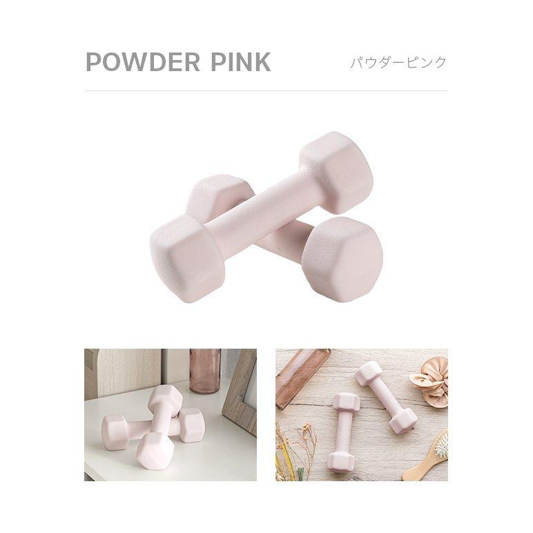 MODERN DECO（モダンデコ） ダンベル 1kg 2個セットエクササイズ女子