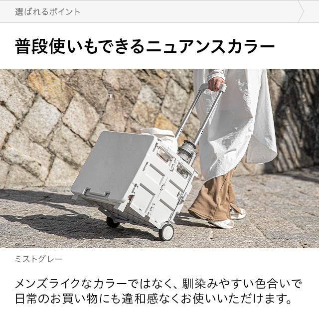 AND・DECO キャリーカート 軽量 折りたたみ 2WAY 超コンパクト カート