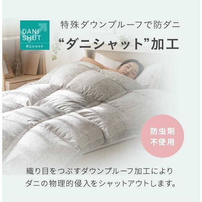 MODERN DECO 羽毛布団 ダブル 掛け布団 日本製 20%増量タイプ 抗菌消臭 
