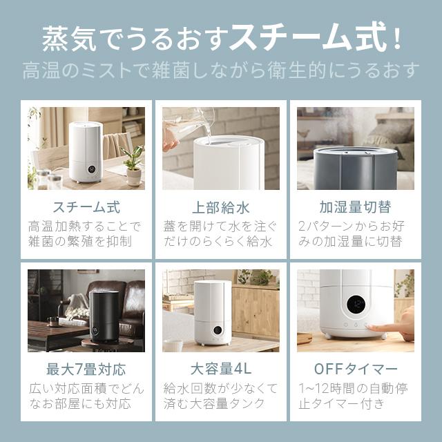 AND・DECO 加湿器 スチーム スチーム式 除菌 4L 約7畳 卓上 大 AND・DECO 加湿器 スチーム スチーム式 除菌 4L 約7畳 卓上 大