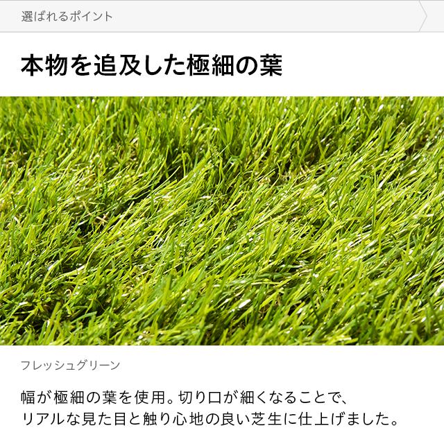 リアル 人工芝 芝丈55mm 静電気抑制タイプ 高密度 2m 10m U字ピン46本付 送料無料 ガーデニング 芝生 ベランダ 往復送料無料 Diy ロール ピン モダンデコ