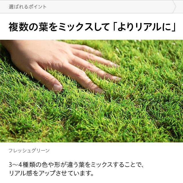 リアル ベランダ ガーデニング Diy ピン モダンデコ 通販 Paypayモール 人工芝 モダンデコ 高密度タイプ 2m 10m 芝丈35mm U字ピン46本付 芝生 ロール 最安価格 税込 Mightymealz Com