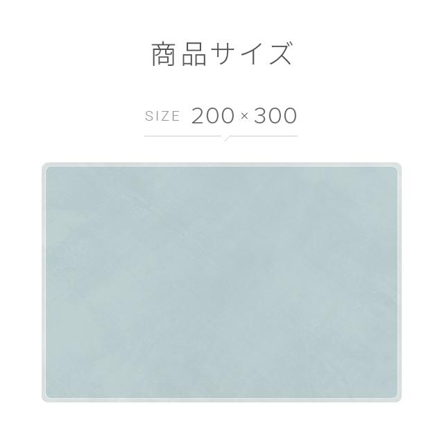 MODERN DECO（モダンデコ） ラグ 高反発 洗える 厚手 200×300cm 厚さ