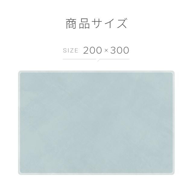 高反発 ラグ 厚手 200×300cm 厚さ25mm フランネル 防音 滑り止め付 マイクロファイバー ホットカーペット対応 ラグ 3.5畳｜don2｜24