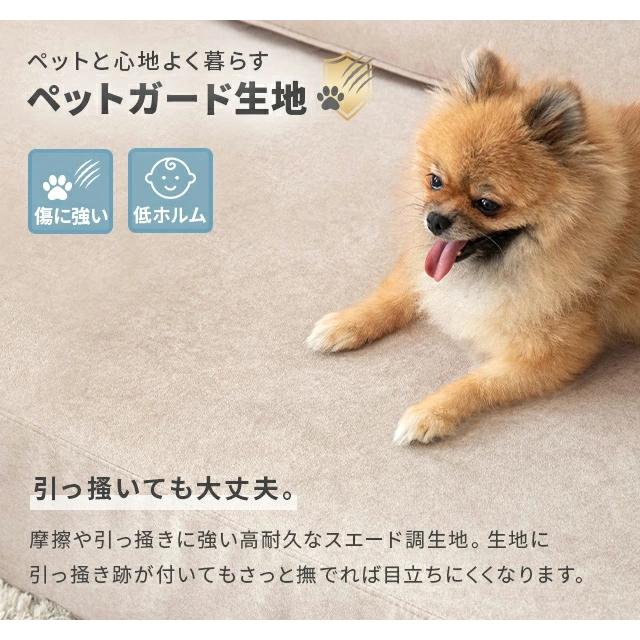 ソファー コンパクト ポケット付き ペット対応 傷に強い 収納 ソファ 2人掛けソファ 2人掛けソファー コンパクトソファ 一人暮らし おしゃれ | MODERN DECO | 06