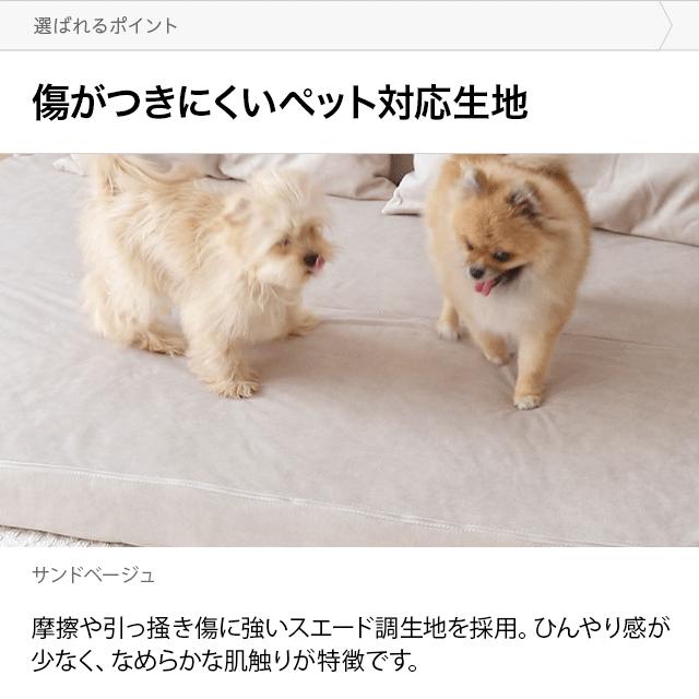 ソファーベット 2人掛け ソファー ハイバック ソファーベッド おしゃれ コンパクト フロアソファ 幅100cm 北欧_7