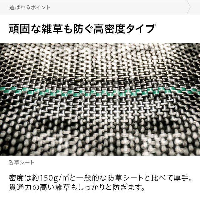 MODERN DECO 防草シート ピン 幅1m×50m 雑草防止 除草シート 防