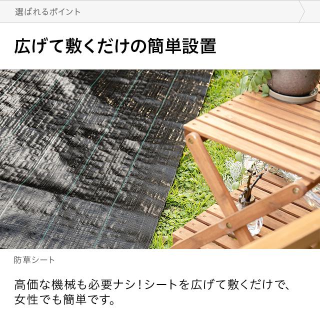 MODERN DECO 防草シート ピン 幅2m×50m 雑草防止 除草シート 防
