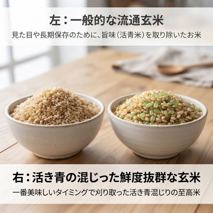 ひとめぼれ 令和8年産 新米予約(発売日前の発送有)【減農薬 有機肥料