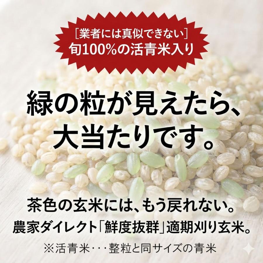 ひとめぼれ 令和8年産 新米予約(発売日前の発送有)【減農薬 有機肥料