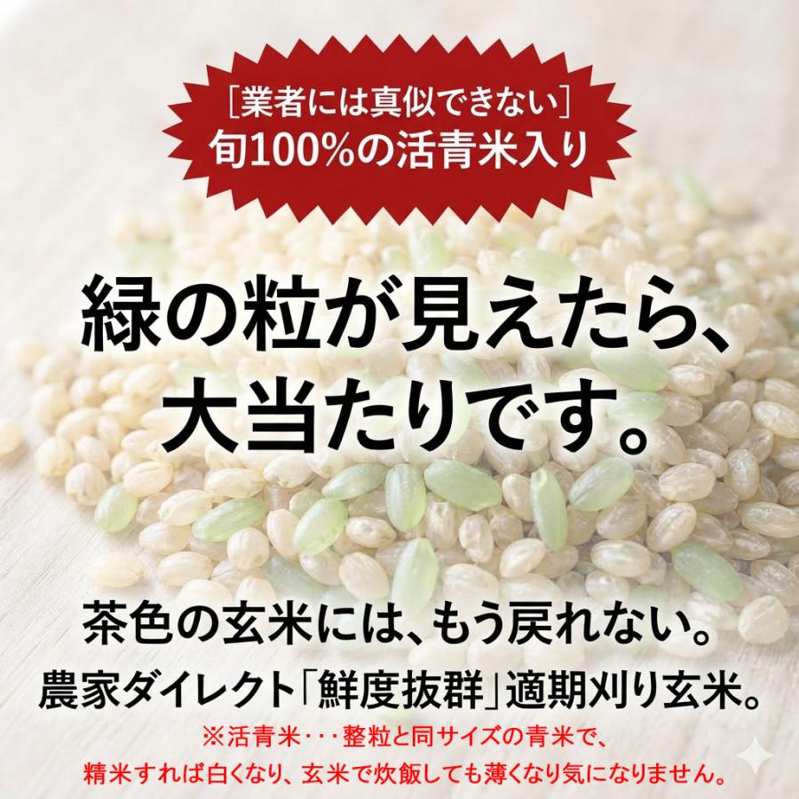 ひとめぼれ 令和8年産 新米【減農薬 有機肥料使用】ひとめぼれ 30kg