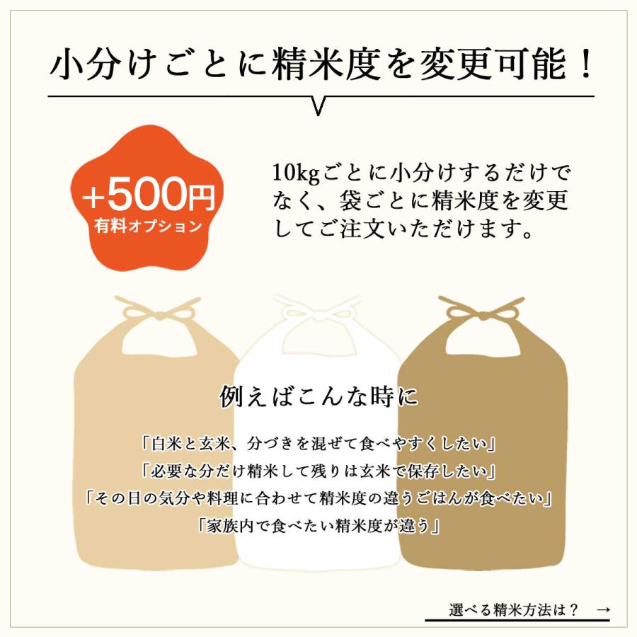 ひとめぼれ さらに在庫縮小セール 減農薬 有機肥料使用 30kg 白米 新米