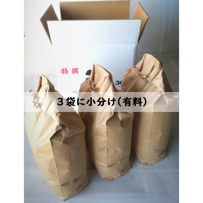 ササニシキ 令和8年産 新米【減農薬 有機肥料使用】 30kg 宮城県産 米