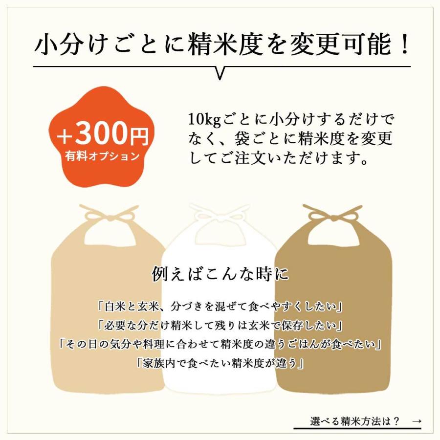 専門ショップ 熊本県産 にこまる JAS有機米 令和4年産 送料無料無農薬 玄米 精米 米 30kg 5kg×6袋 JAS有機米(無農薬 玄米) 鹿児島県産 にこまる 10kg 4年産