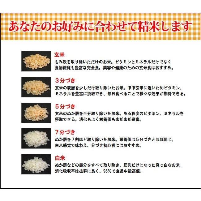 ササニシキ 無農薬 天日干し 有機肥料 使用 利三郎米 新米 令和6 ササニシキ 無農薬 天日干し 有機肥料 使用 利三郎米 新米 令和6