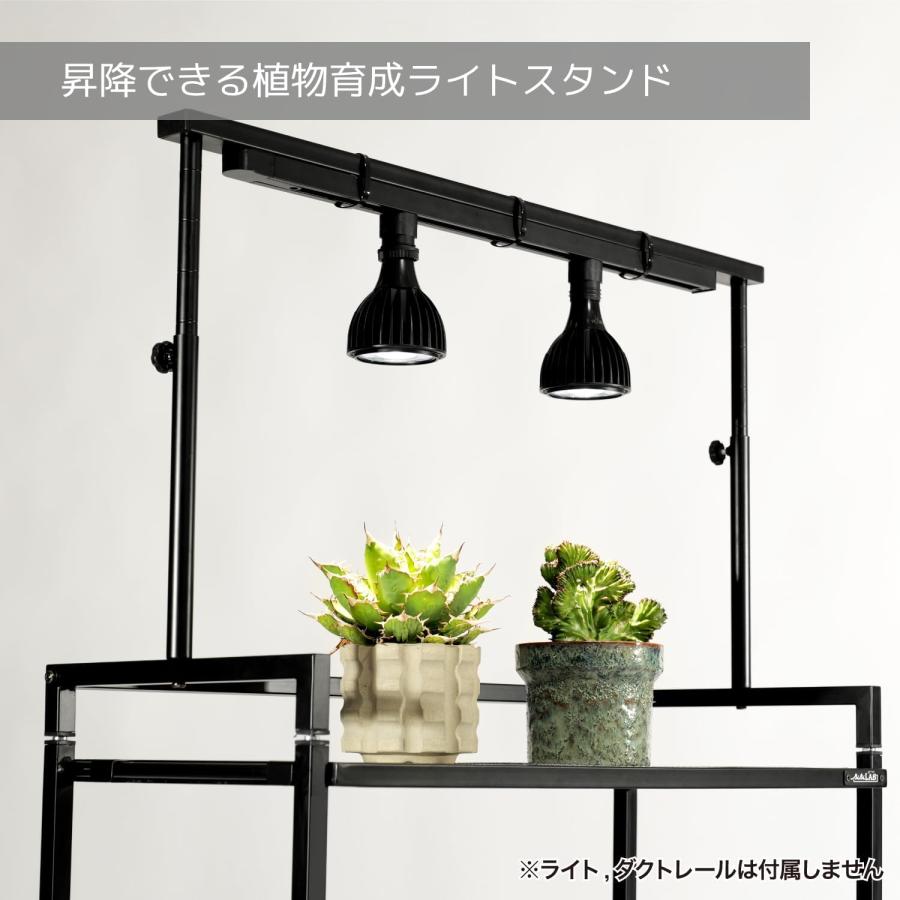 ビザールプランツライトスタンド LPS-800-WH ホワイト BIBILAB 塊根