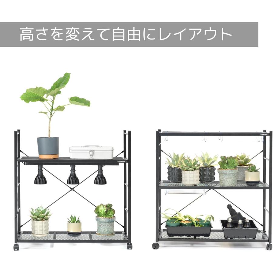 75cm×35cm アガベ・サボテン等用 メッシュラック ビザールプランツ