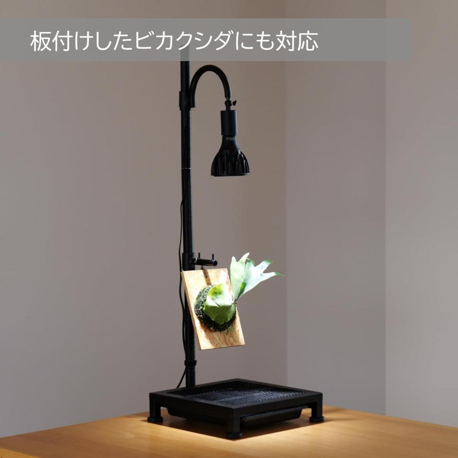 ビビラボ（BIBILAB） 植物育成ライトスタンド・ソロ LPA-P250-BK 水