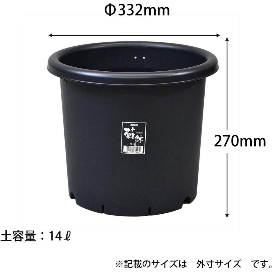 アップルウェアー 菊鉢 10号 ブラック 鉢 アガベ コーデックス