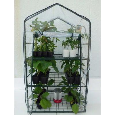 簡易温室 アガベ 塊根植物仕様 パネルヒーター 簡易温室 アガベ 塊根