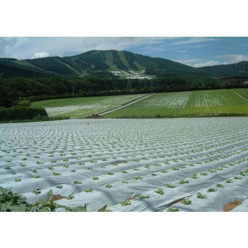岩谷マテリアル 菜園用リバースマルチ 白黒 0.02mmx950mmx50m 園芸用