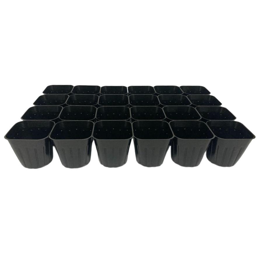 タキイ種苗　合体くん　タキイ根巻防止連結ポリ鉢 9cm 黒 24鉢/1枚 根巻防止連結ポリ鉢9cm合体くん 24鉢 タキイ種苗 : ドンドンマーケット