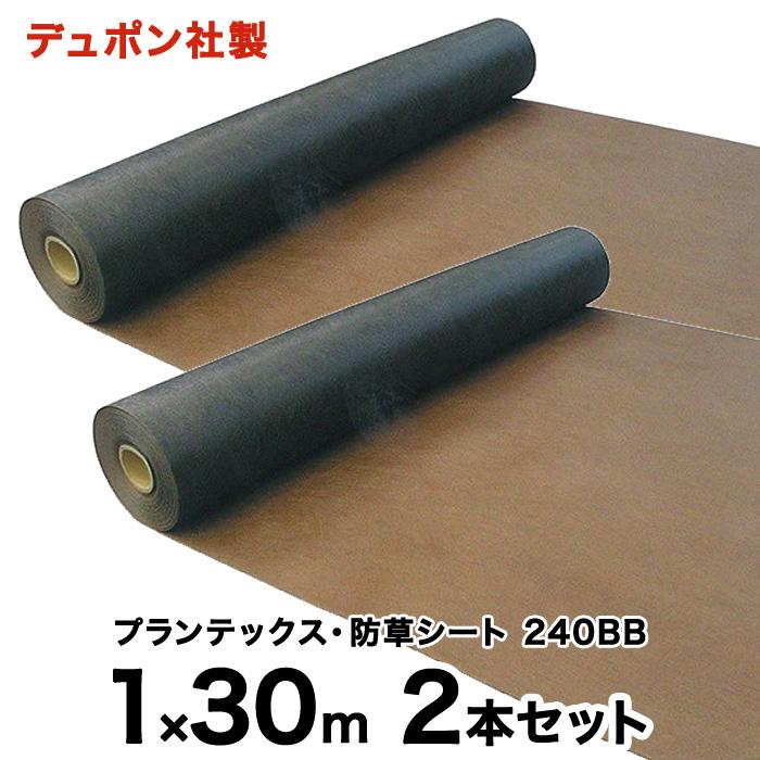 DuPont（デュポン） 防草シート プランテックス240BB 1X30m 2本セット
