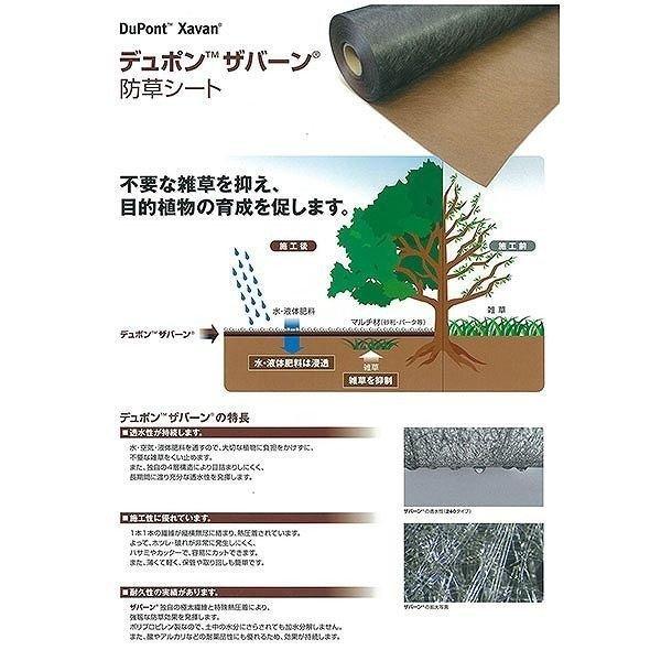 DuPont（デュポン） 防草シート プランテックス240BB 1X30m ザバーン
