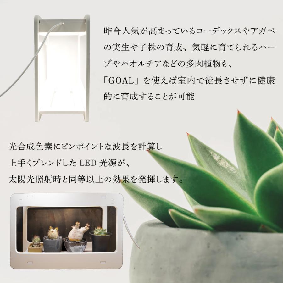GOAL 新商品 植物育成LEDライト 実生 種まき ハオルチア コーデックス