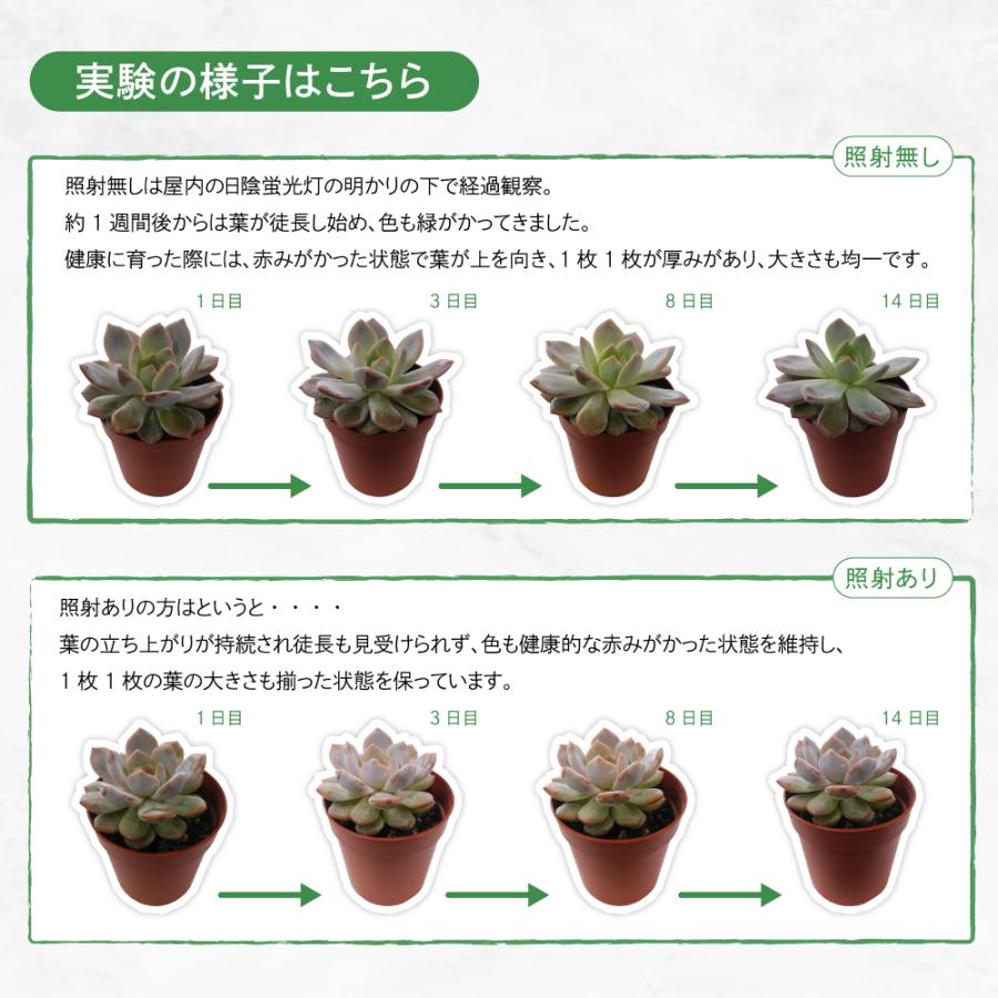 GOAL 新商品 植物育成LEDライト 実生 種まき ハオルチア コーデックス