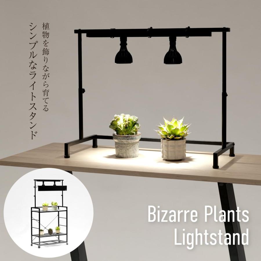 MILLS 植物ライトスタンド ブラック MILLS 植物ライトスタンド ブラック 楽天市場】ライトレール