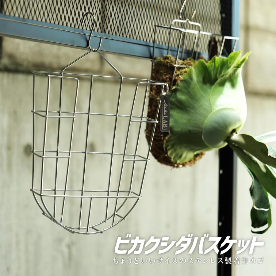 【4個セット】ステンレスバスケット　ビカクシダ　コウモリラン 4個セット】ステンレスバスケット ビカクシダ コウモリラン