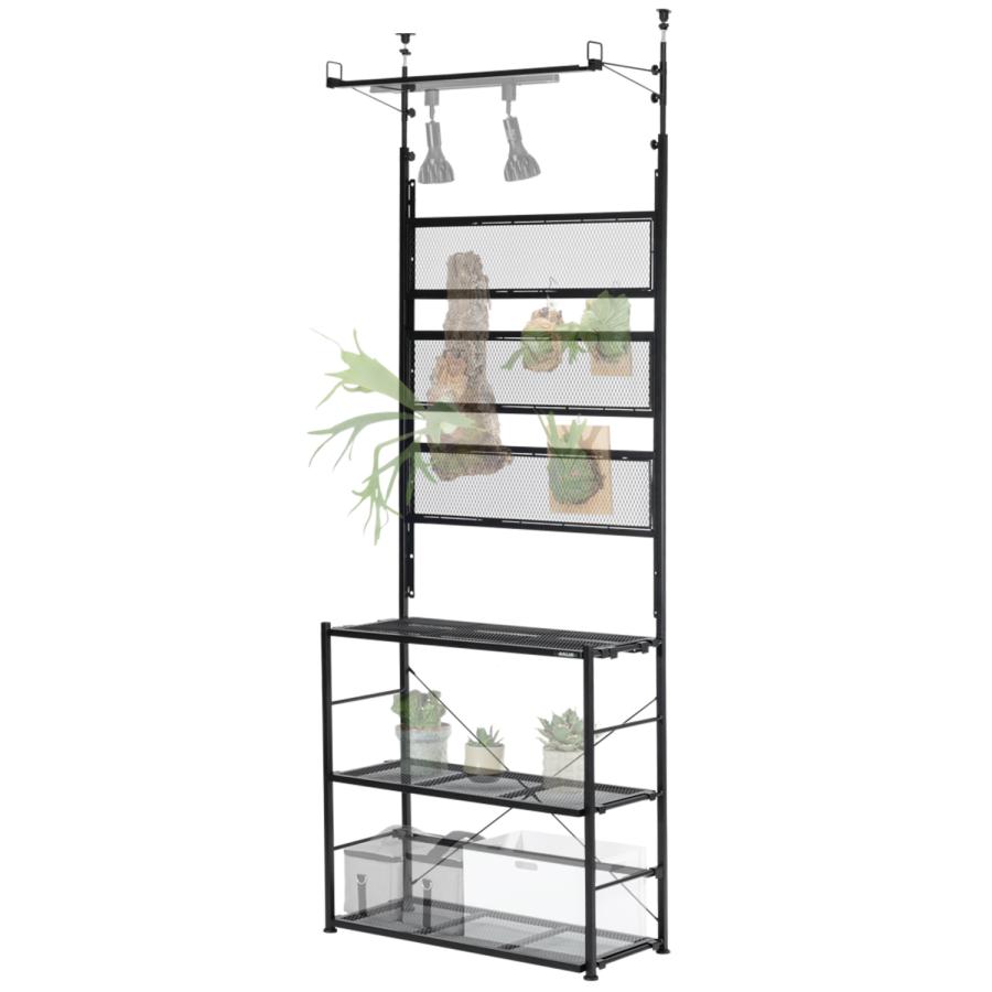 2026年1月】グラキリス 実生のおすすめ人気ランキング - Yahoo