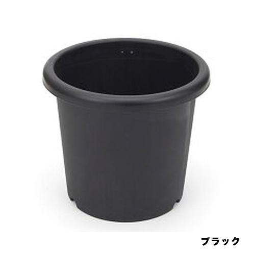 菊鉢 10号 ブラック アガベ サボテン コーデックス 鉢 アイカ｜dondon-p