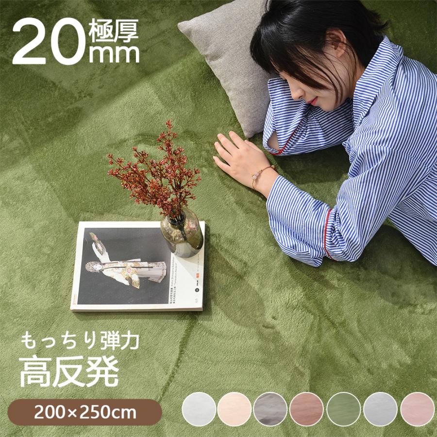 ラグ 低反発 はっ水 ラグマット 極厚20mm 抗菌防臭 200×250cm